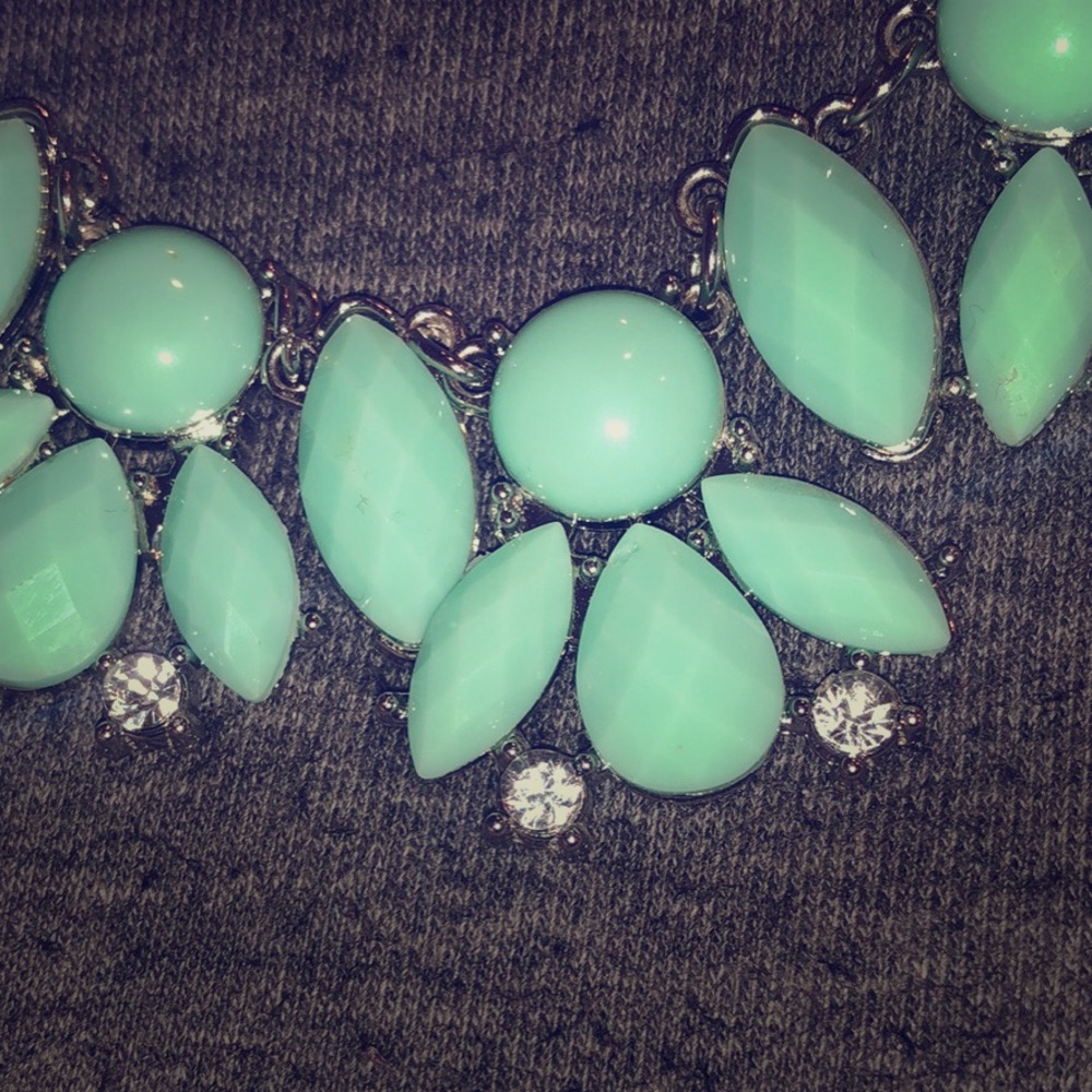Charming Charlie Necklace set